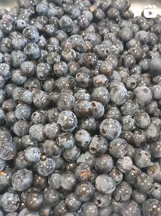 Récolte du coquelicot pour la préparation de notre sirop de coquelicot - Cliquez pour accéder aux vidéos