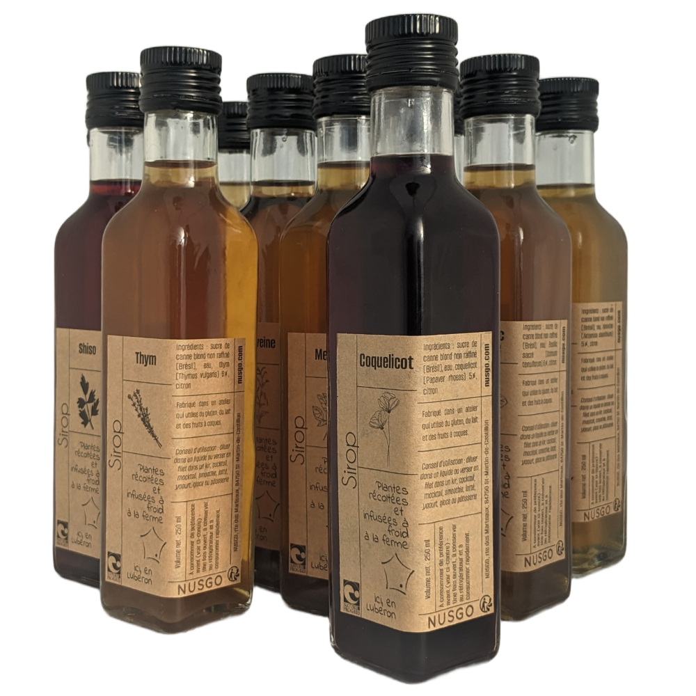 Nos 11 variétés de sirops de plantes