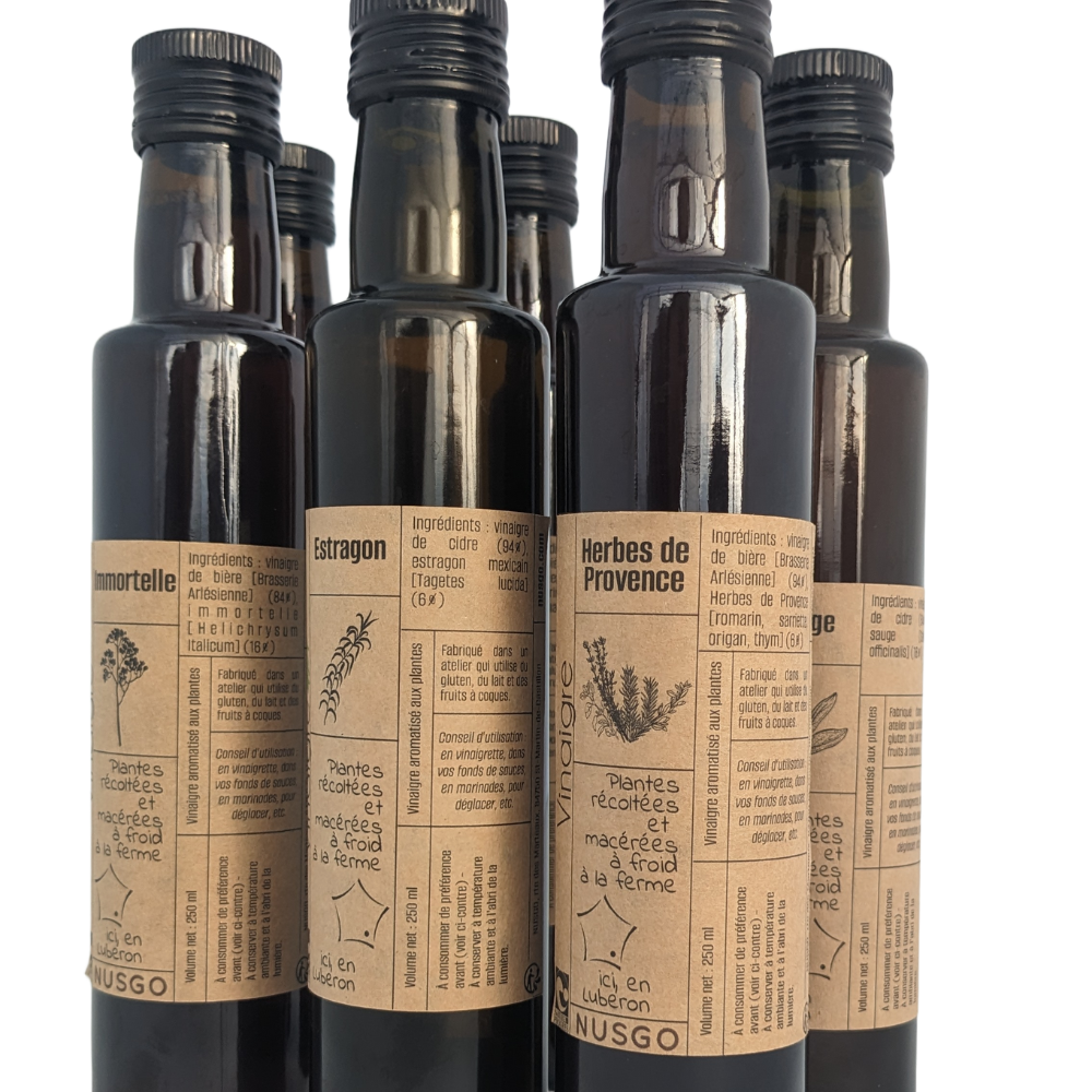 Nos 6 vinaigres de plantes